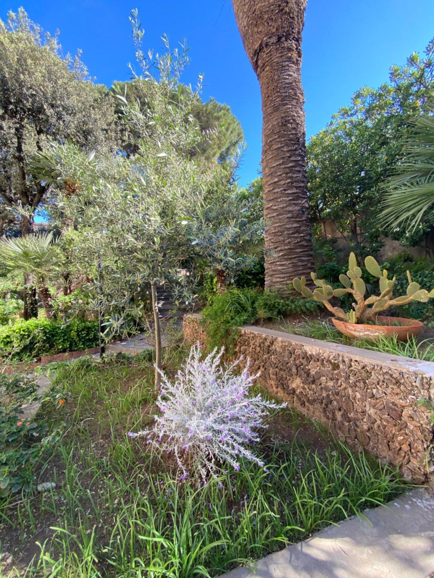 Villa Il Boschetto San Vincenzo Exterior photo